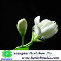 Top quality jasmine seeds with high germination